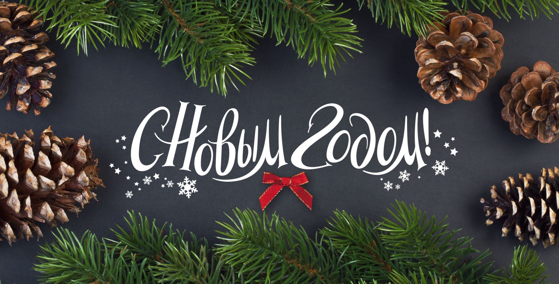 С Новым годом! С Новым годом!
